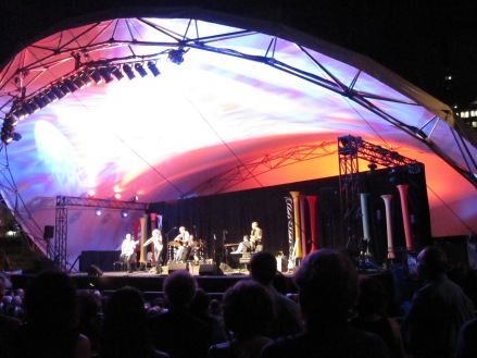 Natalie MacMaster performing at the Ottawa Jazz Festival on June 30, 2014 (photo by Anita Malhotra)